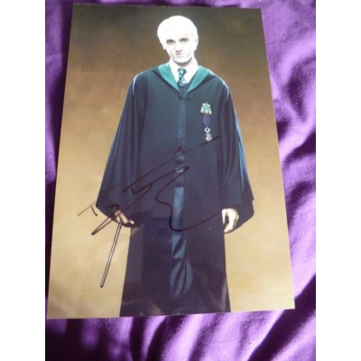 Tom Felton autograph (Harry Potter)