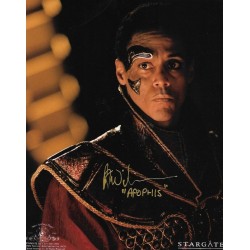 Peter Williams autograph AFTAL (Stargate)
