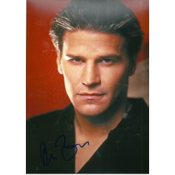 David Boreanaz autograph 7 (Angel; Buffy)