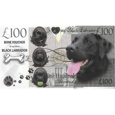 Novelty Dog Banknote - Black Labrador