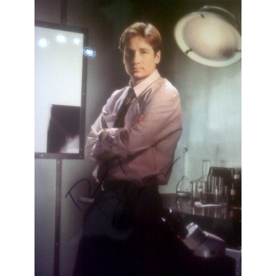 David Duchovny autograph (The X-Files)
