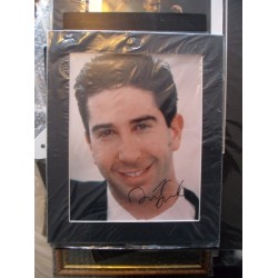 David Schwimmer autograph (Friends)