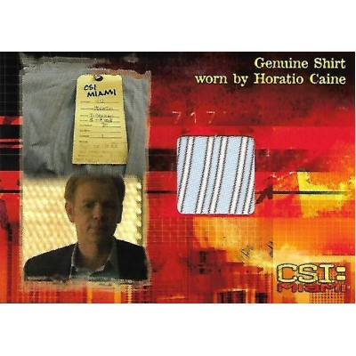 David Caruso Costume Card (CSI: Miami)