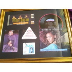 Whitney Houston Framed Collection w/ LP