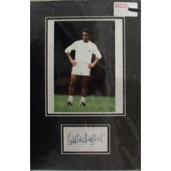 Ossie Ardiles autograph (Spurs; Argentina)