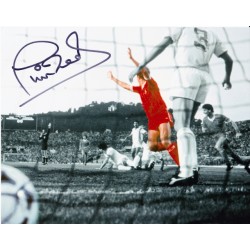 Phil Neal autograph (Liverpool)