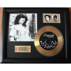 Gary Holton Gold CD and Plectrum Display (Preprint)