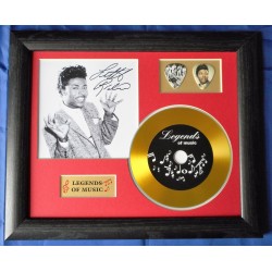 Little Richard Gold CD and Plectrum Display (Preprint)