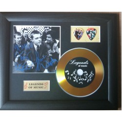 Madness Gold CD and Plectrum Display (Preprint)