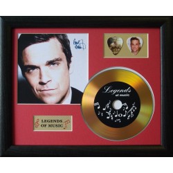 Robbie Williams Gold CD and Plectrum Display (Preprint)