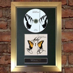 Paramore Pre-Printed autograph 2 (Brand New Eyes)