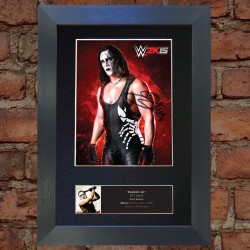 Sting Pre-Printed Autograph (WWE; WCW)