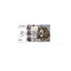Novelty Banknote - Chelsea 3