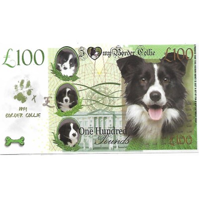 Novelty Banknote - Border Collie