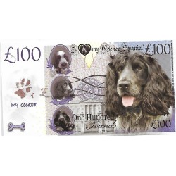 Novelty Note - Cocker Spaniel