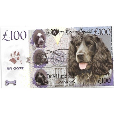 Novelty Note - Cocker Spaniel