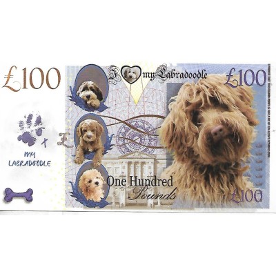 Novelty Note - Labradoodle