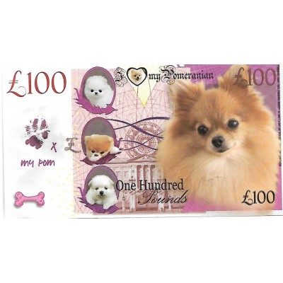 Novelty Note - Pomeranian