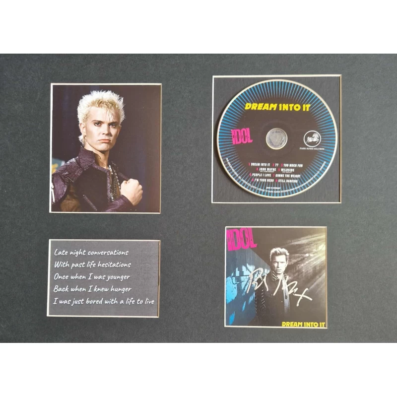 Billy Idol autograph